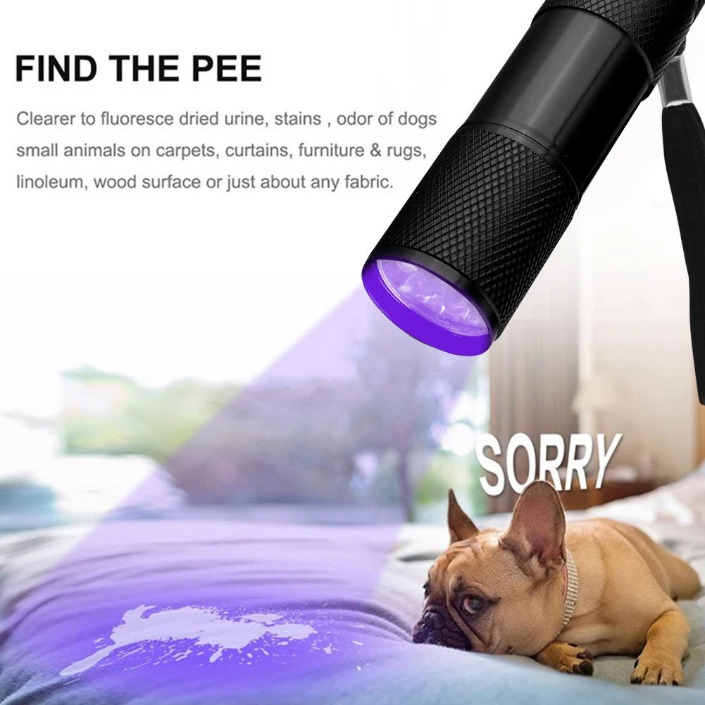 TaffLED Senter UV Ultraviolet 400nm 9 LED UV-395 Mini Flashlight Aluminium untuk Cek Keaslian Uang, Sidik Jari, Jejak dan Benda Samar, Senter UV Portable dengan 3 Baterai AAA untuk Pemeriksaan - Gambar 8