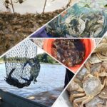 16 Lubang Jaring Pancing Ikan Jaring Ikan Bubu Udang Bubu Ikan Bubu Perangkap Ikan