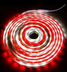 Lampu Hias Selang LED 7M RGB Rainbow Warna Warni Merah Putih untuk Dekorasi 17 Agustus Natal Tahun Baru Lebaran Pesta Ulang Tahun Indoor Outdoor Tahan Air Colok Listrik AC Mode Kedip dan Nyala Tetap - Gambar 2